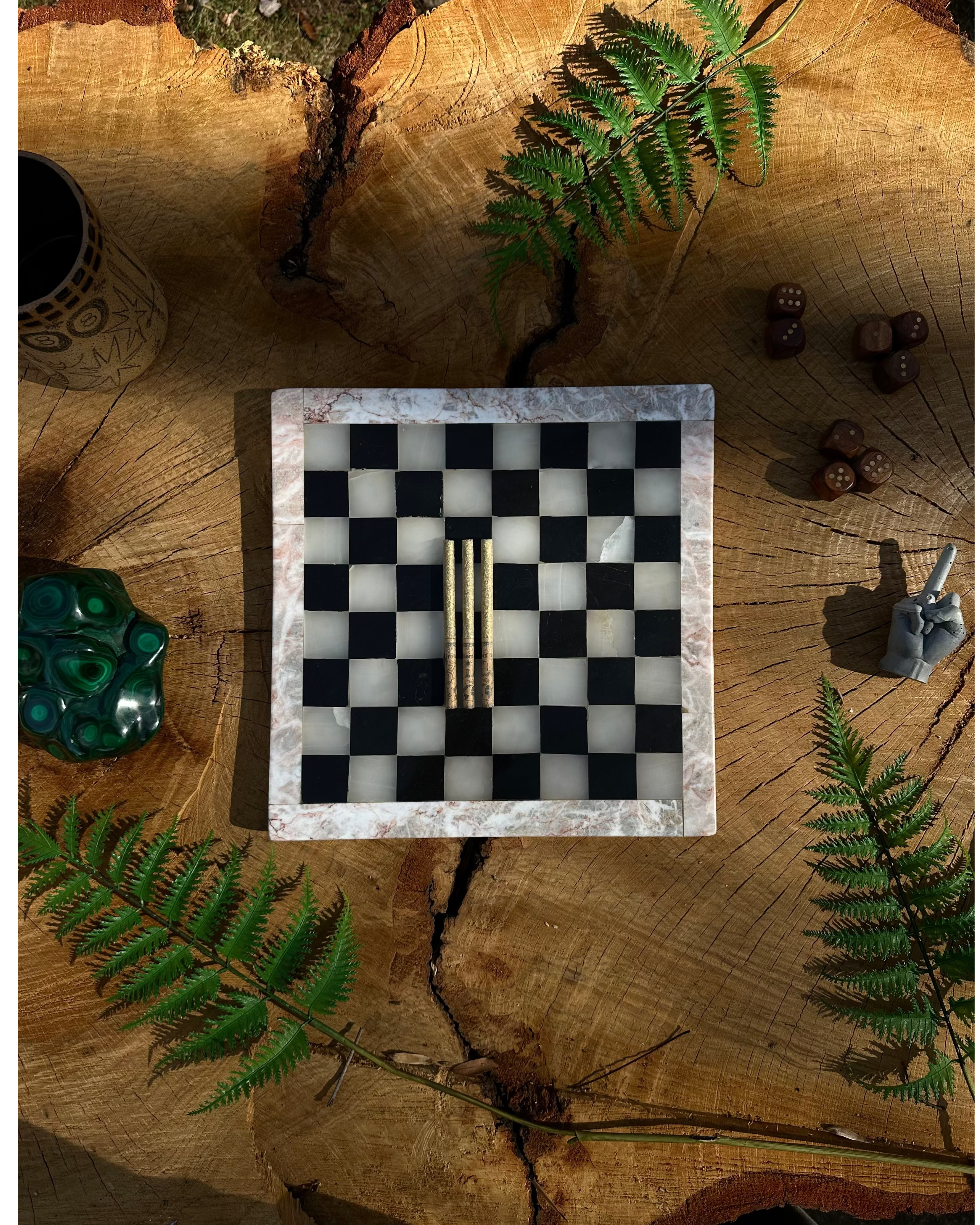 Checkered game board with pieces on a wooden surface with plants