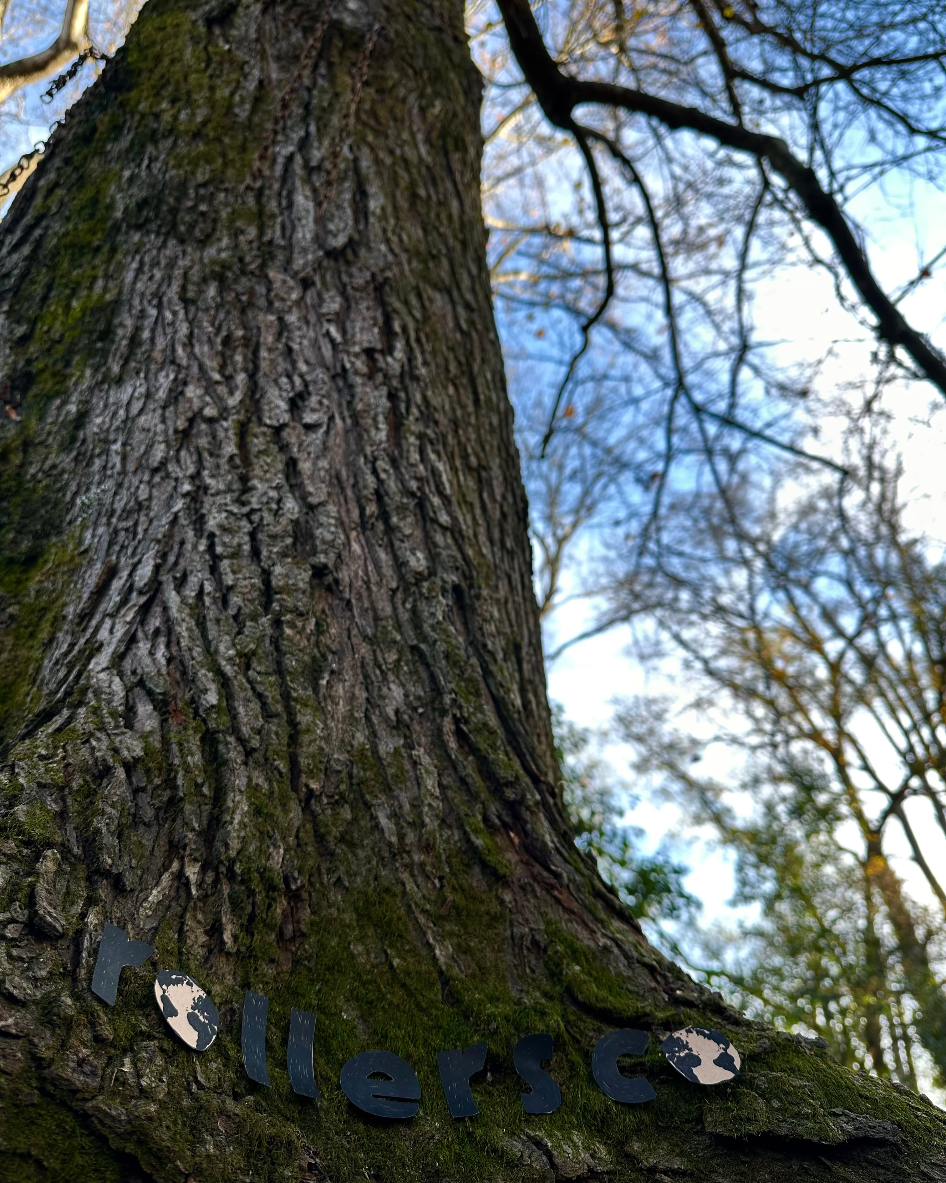 BALANCE BLEND = HYBRID FLOWER