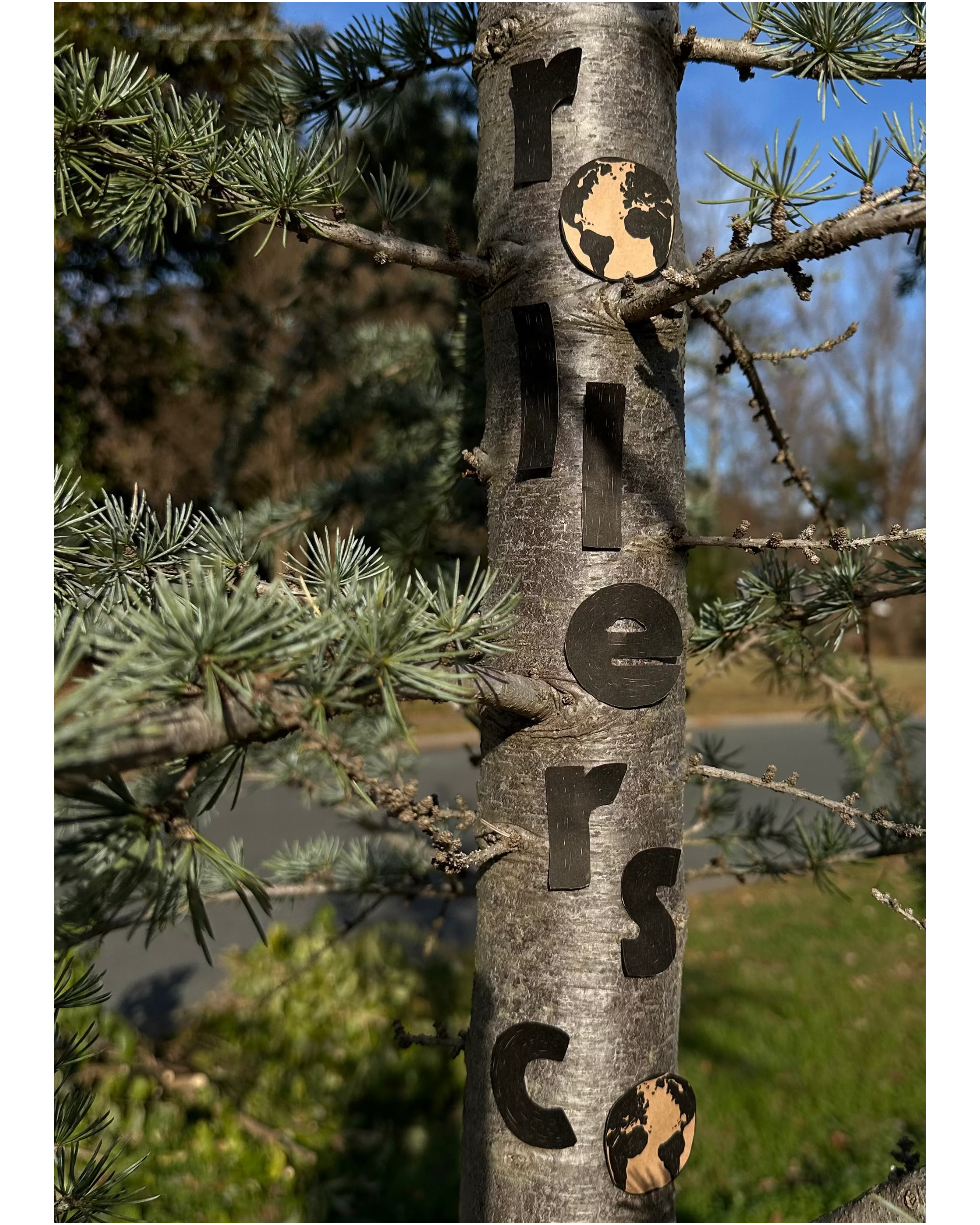 GROUNDING BLEND = INDICA FLOWER