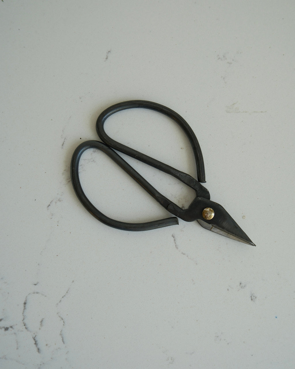BLACK IRON HERB SNIPPERS