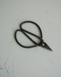 BLACK IRON HERB SNIPPERS