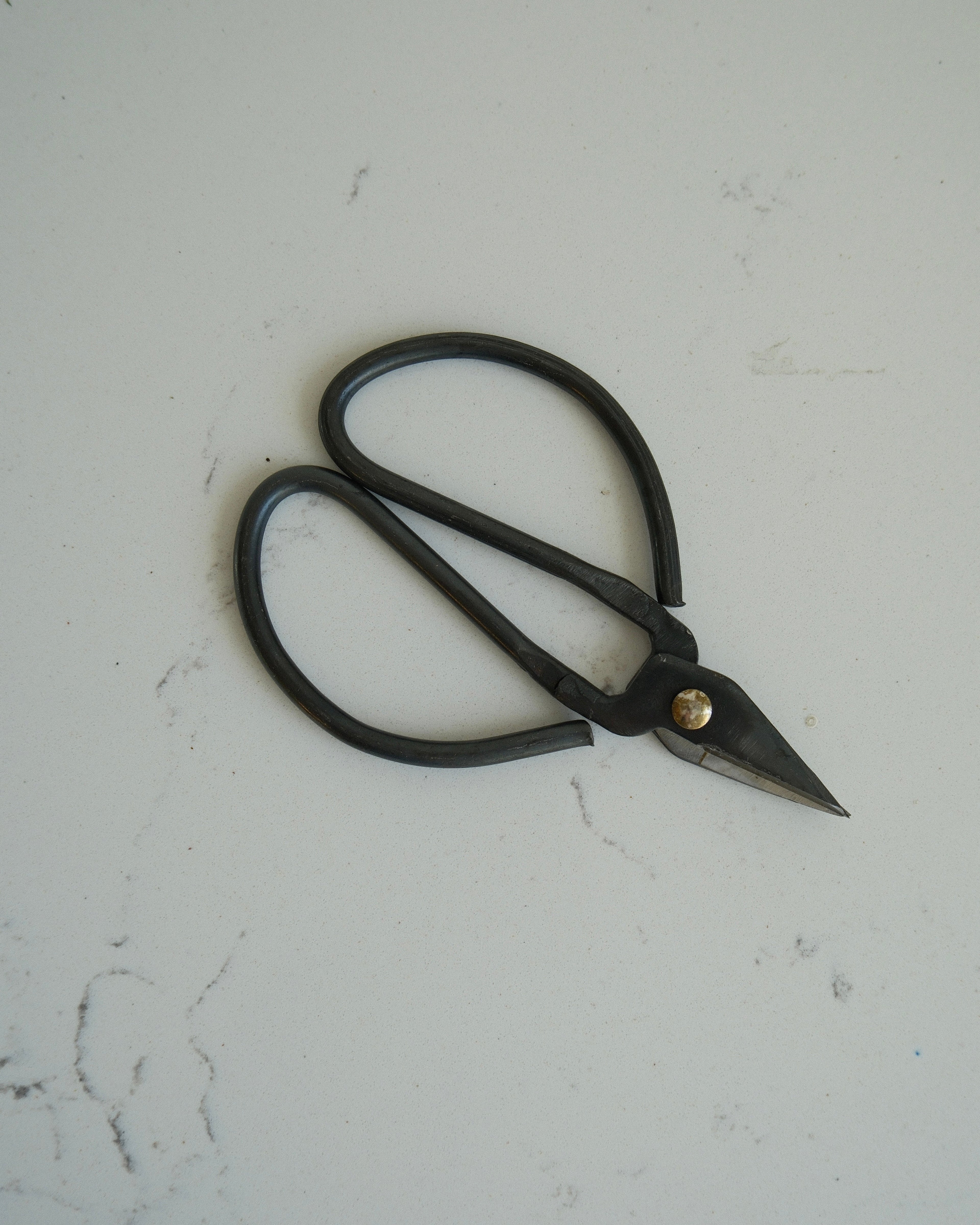 BLACK IRON HERB SNIPPERS