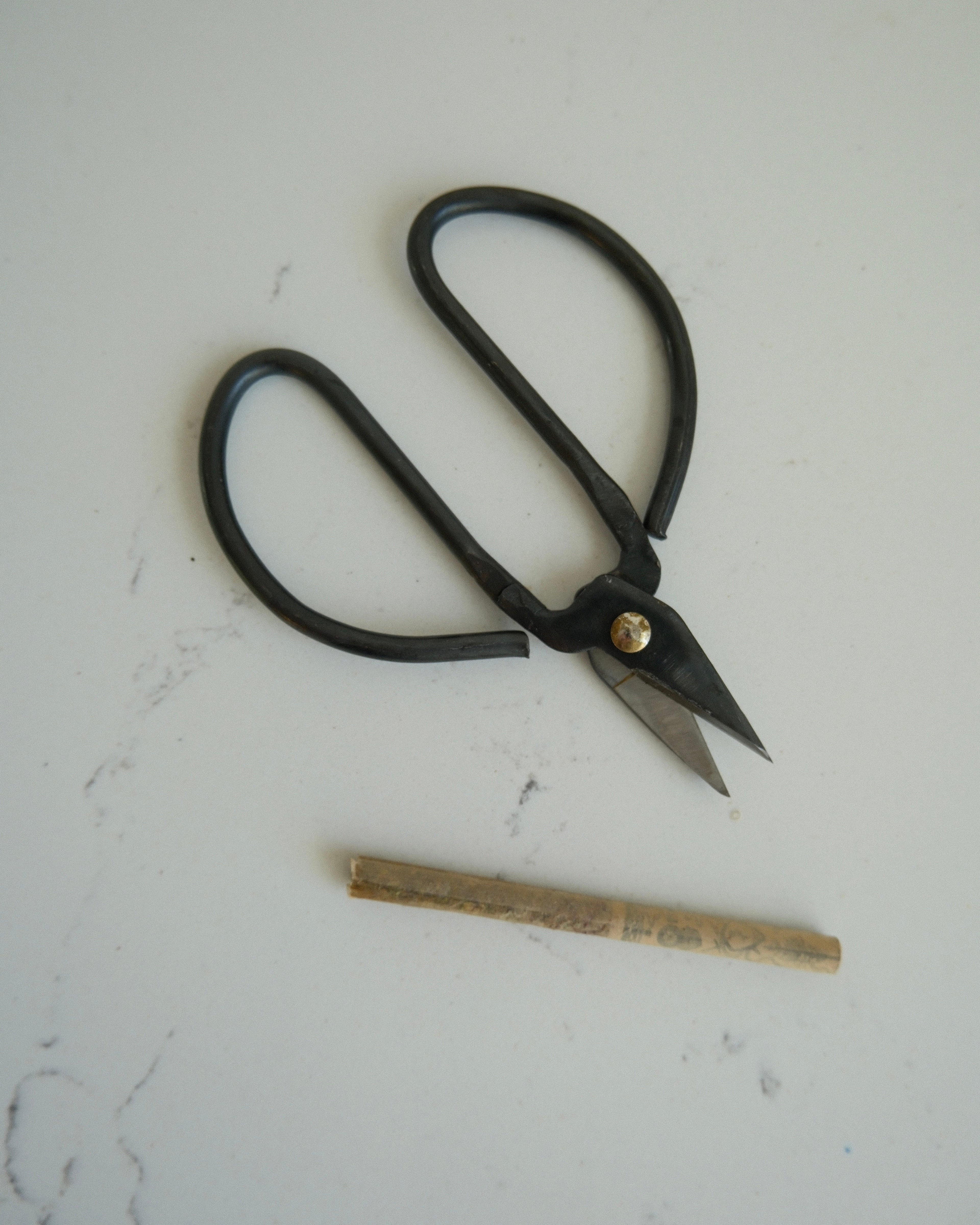 BLACK IRON HERB SNIPPERS