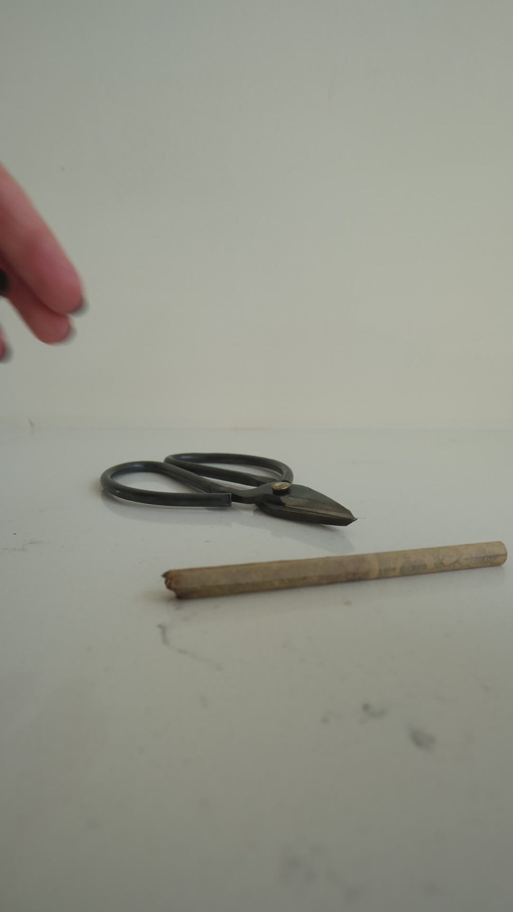 BLACK IRON HERB SNIPPERS
